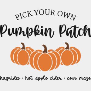 Pick Your Own Pumpkin Patch  Thumbnail