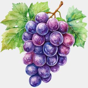 grapes  1  Thumbnail