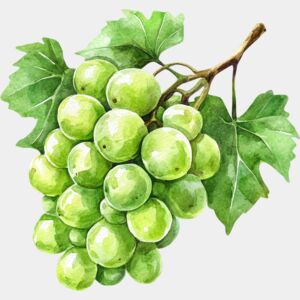 grapes  6  Thumbnail